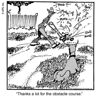 marmaduke